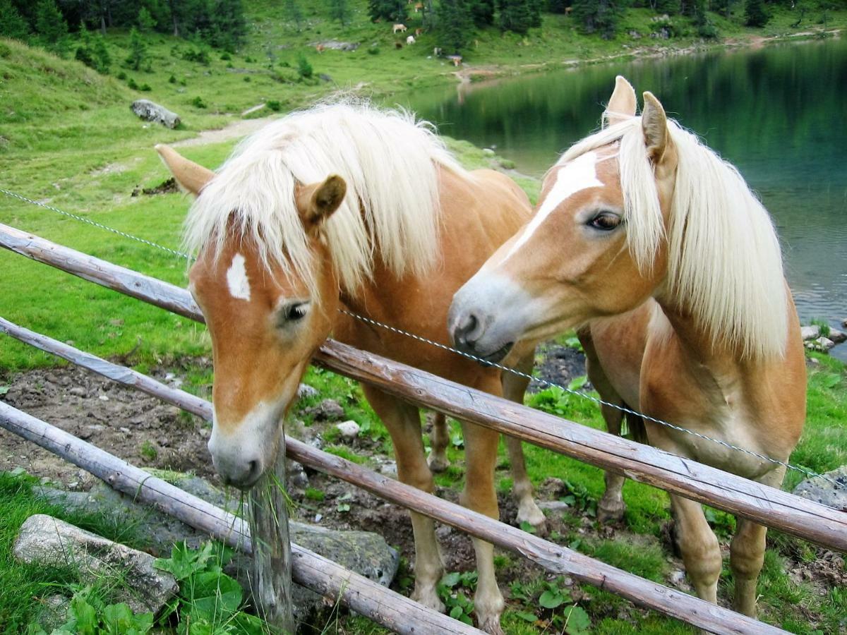 Haus Hubertusheim Lägenhet Schladming Exteriör bild