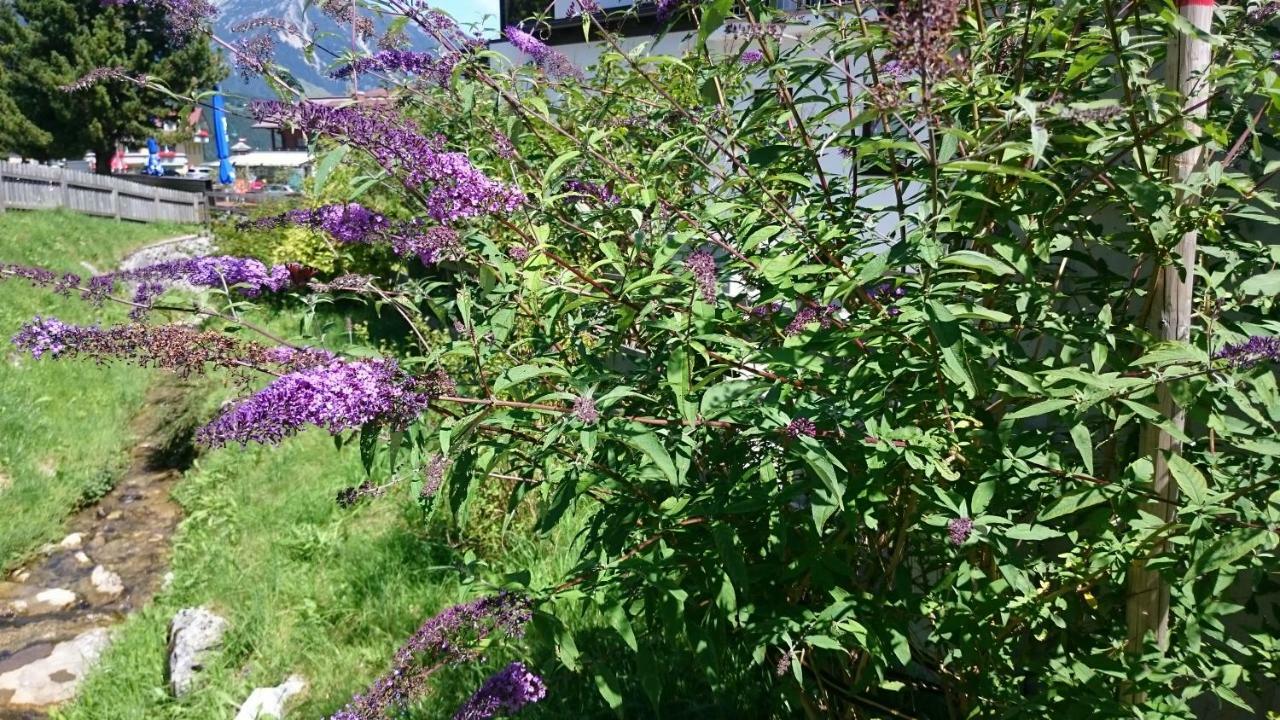 Haus Hubertusheim Lägenhet Schladming Exteriör bild