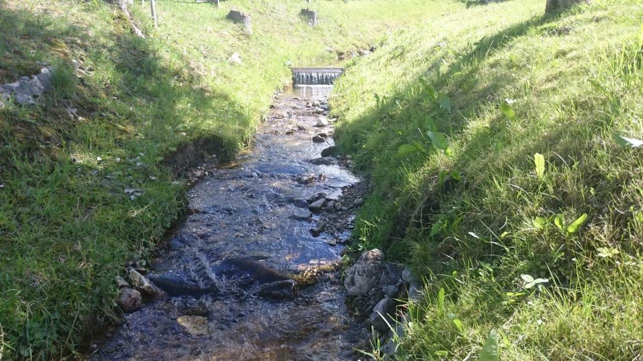 Haus Hubertusheim Lägenhet Schladming Exteriör bild