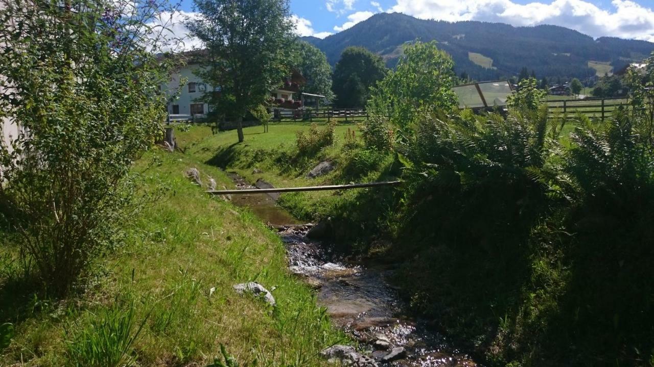 Haus Hubertusheim Lägenhet Schladming Exteriör bild